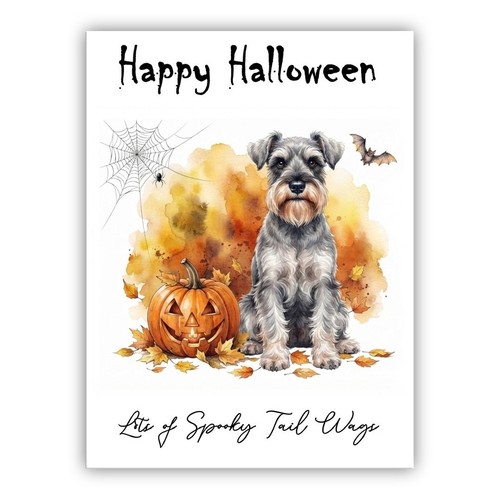 Miniature schnauzer dog - schnauzer,
