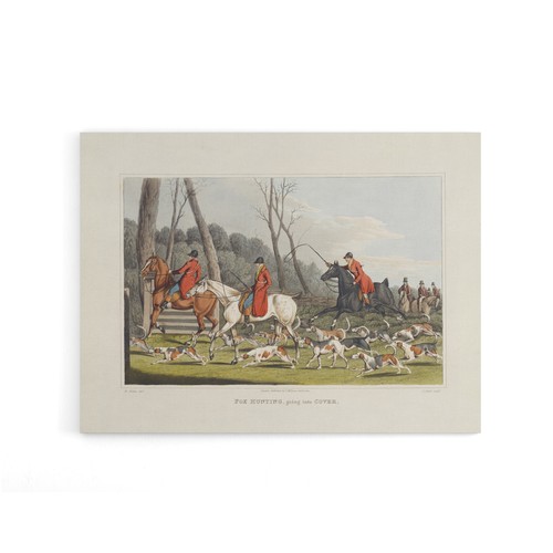 Fox hunting into cover - fox,