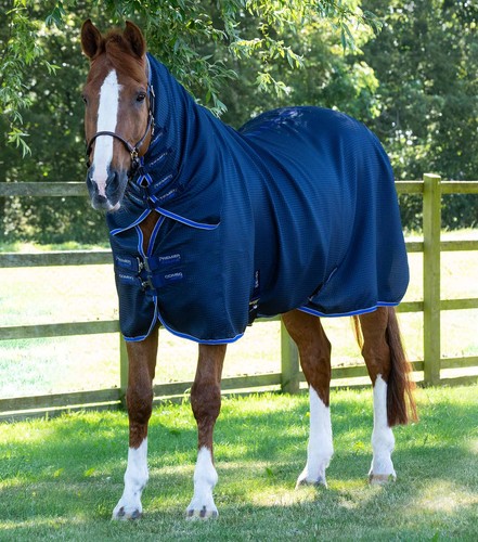 Premier equine combo buster - premier,