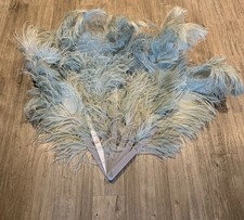 Gorgeous Burlesque Ostrich