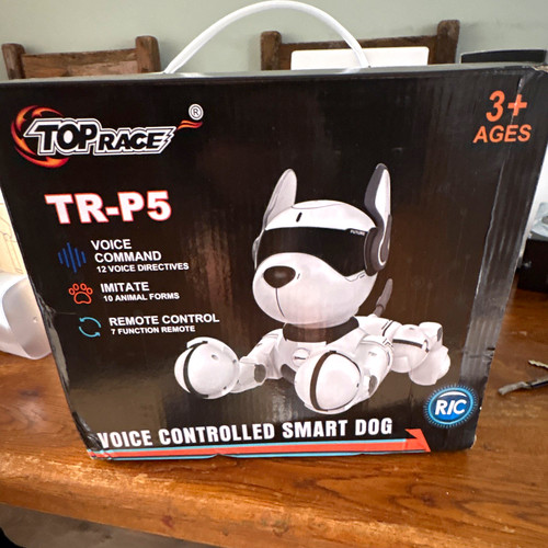 Top race voice - race,