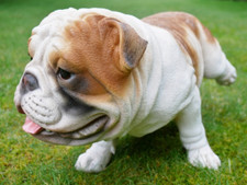 Large Bulldog Garden Ornament Indoor Outdoor Decor Cocking Leg Statue Quality