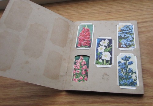 Vintage 1930 cigarette card - 1930's,