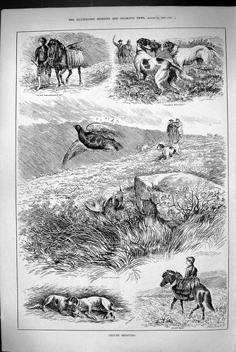 Antique print 1883 - antique,
