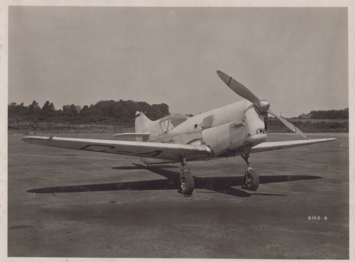 Percival mew gull airfield - gull, uk