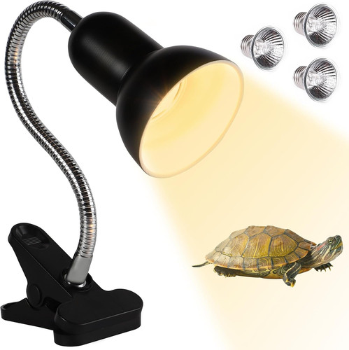 Tortoise heat lamp with - tortoise,