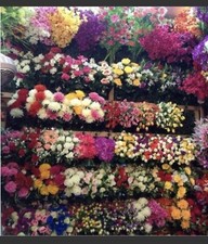 BOX OF 50 Flower Bunches