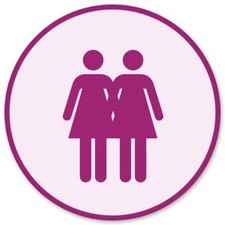 Lesbian Couple Gay Pride Car