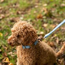 Dog Collar and Leash, Velvet Dog Collar and Leash Set, Soft & Comfy, Adjustable