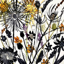 Original Wildflower Meadow