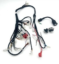 APACHE 100CC QUAD WIRING LOOM