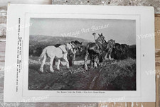 Return From Fields Horses