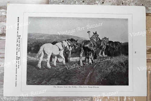 Return from fields horses - return,