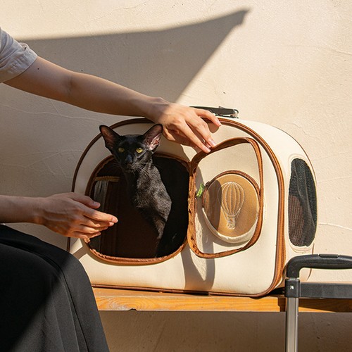 Cat carrier with wheels - carrier, large