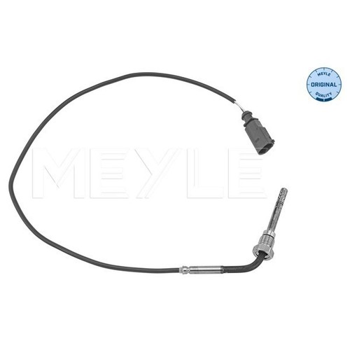 Exhaust gas temperature - gas, sensor