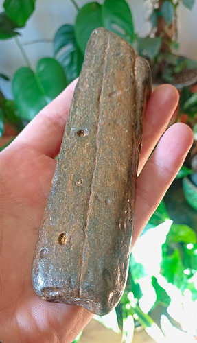 Naturally polished fossilised - naturally,