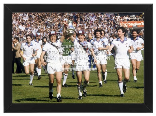 Framed 1980 cup trophy - 1980, fa