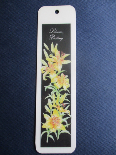 Flower bookmark lily - lily, lilium
