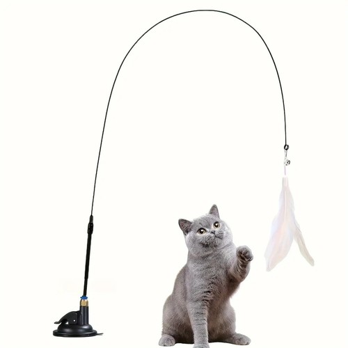 Cat kitten toy - kitten, feather