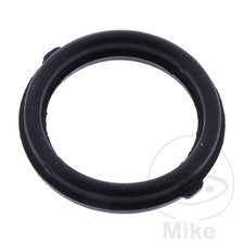 21834-Spark plug hole gasket