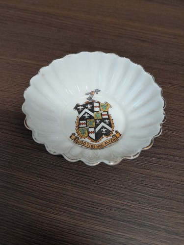 Shelley criccieth china - shelley,