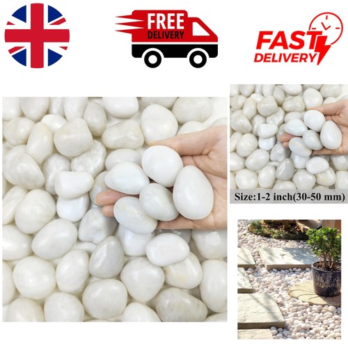 White pebbles 2 lbs - 30-50,