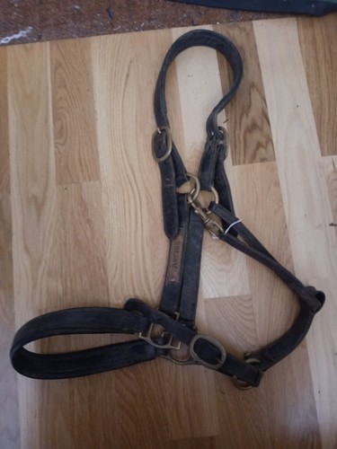 Leather head collar padded - head,