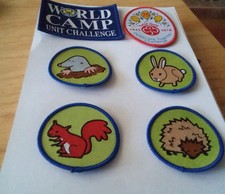 Girlguiding badges