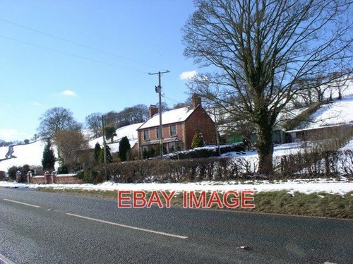 Photo smallholding near - photo,