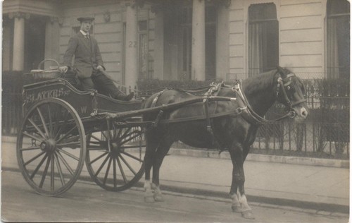 Kensington slaters ltd horse - kensington.,