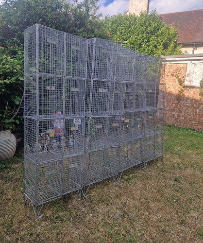 Bunny business 4tier steel - business,