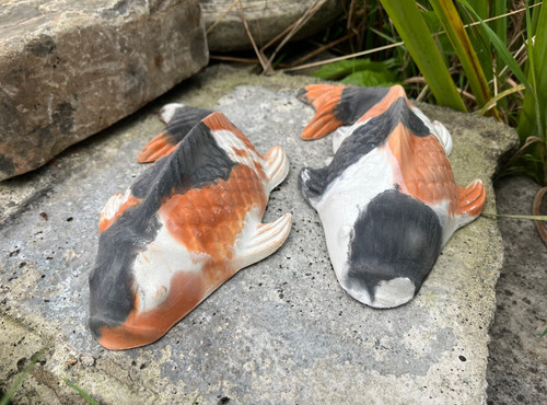 Pair multi coloured koi - pair, multi-coloured