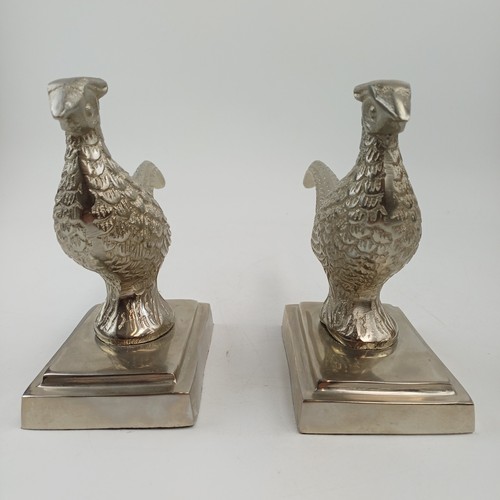 Culinary concepts pheasant - culinary,