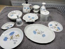 12 x Vintage Wedgwood Ice Rose