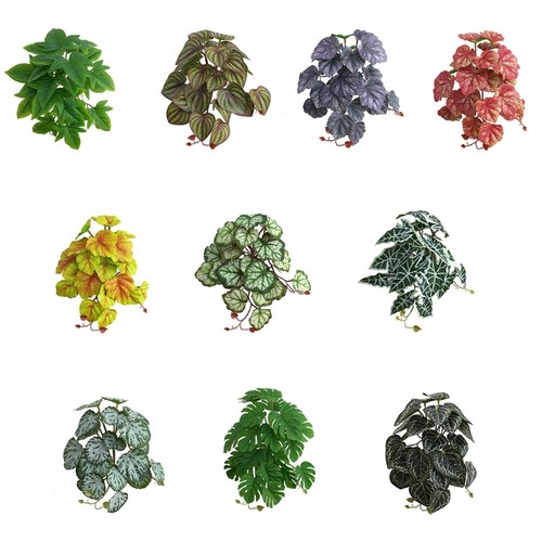 Reptile plants terrarium plant - reptile,