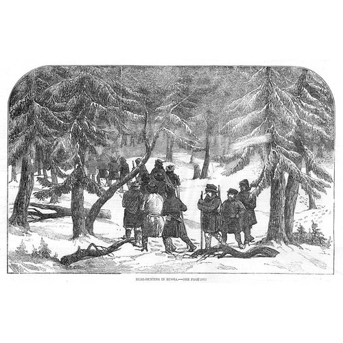 Bear hunting russia - hunting,