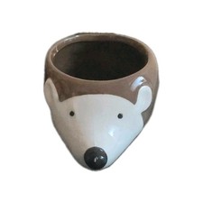 Small Cute Hedgehog Pot