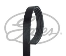 Gates 5PK738 V-Ribbed Belt Fits Citroen Ferrari Land Rover Lotus MG Peugeot