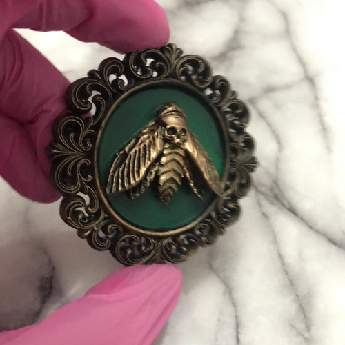 Death head moth frame - frame, –