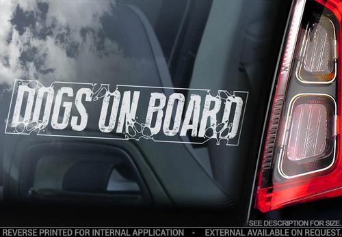 Dogs board car sticker - car,