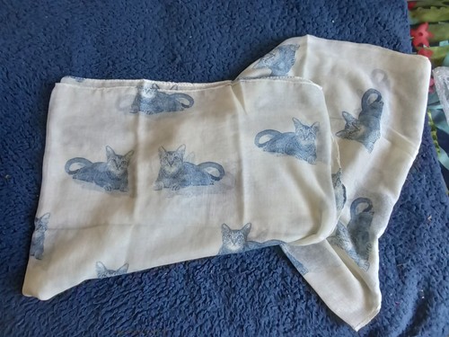 Beautiful large cat - scarf, blue