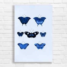 Colorful Butterfly Nature Blue Canvas Print Large Picture Wall Art