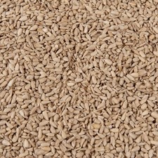 Sunflower Hearts - Premium Wild Bird Food Kernels