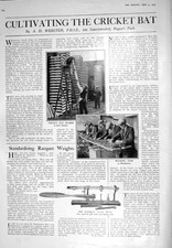 Old 1925 Cultivating Cricket