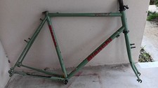 Biachi Volpe Frame