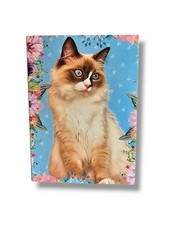 Ragdoll Cat Card, Kitten