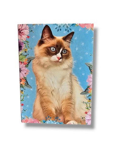 Ragdoll cat card kitten - cat,