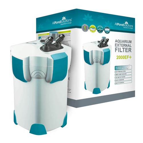Aquarium fish tank - fish,