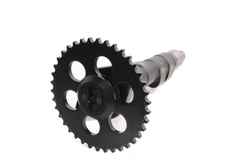 Camshaft control shaft gear