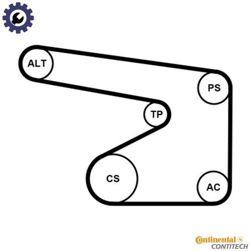 Water pump vribbed belt - +, kit
